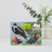 Great Frigatebird, Midway Atoll, Hawaiianische Ins Postkarte (Stehend Vorderseite)
