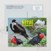 Great Frigatebird, Midway Atoll, Hawaiianische Ins Postkarte (Vorne/Hinten)
