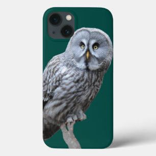 Great Gray Owl Case-Mate iPhone Hülle