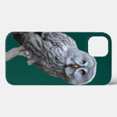 Great Gray Owl Case-Mate iPhone Hülle (Rückseite (Horizontal))
