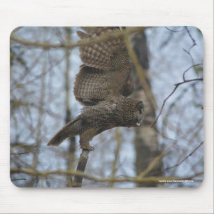 Great Gray Owl Launen im Forest Wildlife Foto Mousepad