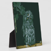 Great Gray Owl Plaque Fotoplatte (Seite)