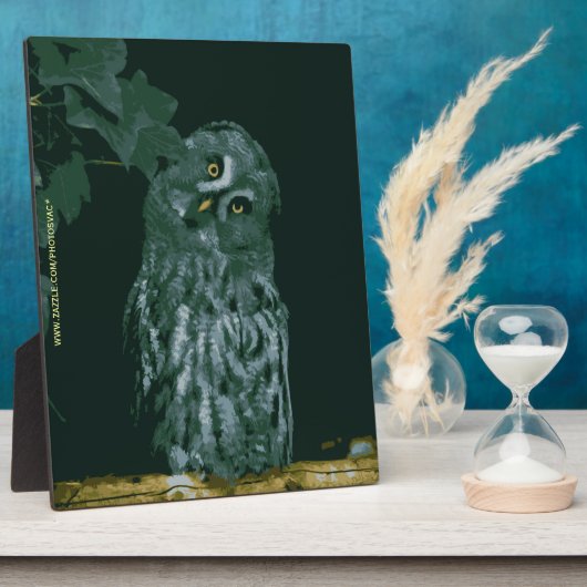 Great Gray Owl Plaque Fotoplatte (Seite)