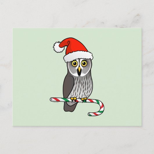 Great Gray Owl Santa Feiertagspostkarte (Vorderseite)