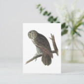 Great Gray Owl von Audubon Postkarte (Stehend Vorderseite)