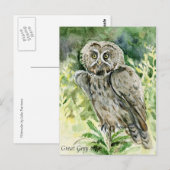 Great Gray Owl Wasserfarbe Postkarte (Vorne/Hinten)