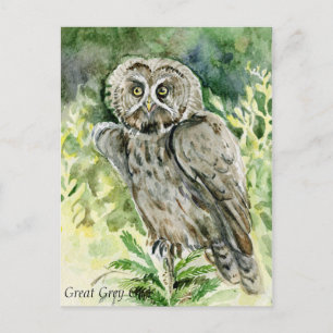 Great Gray Owl Wasserfarbe Postkarte