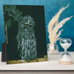 Great Grey Owl-Plakette Fotoplatte