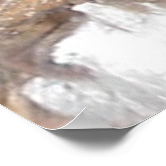 Great Horn Baboon Spider Poster (Ecke)