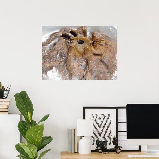 Great Horn Baboon Spider Poster (Heimbüro)