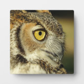Great Horned Owl Desktop Plaque Fotoplatte (Vorderseite)