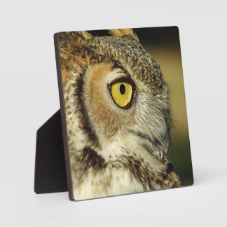Great Horned Owl Desktop Plaque Fotoplatte