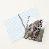 Great Horned Owl Foto 8x11 Notebook Notizblock (Innenseite)