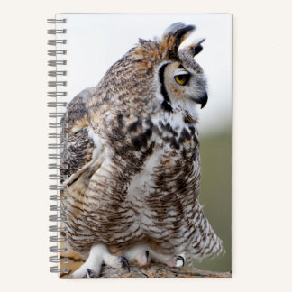 Great Horned Owl Foto 8x5 Notebook Notizblock