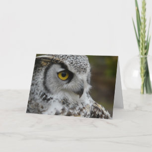 Great Horned Owl Fotograf Karte