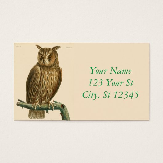 Great Horned Owl Thunder_Cove (Vorderseite)