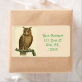 Great Horned Owl Thunder_Cove (Insitu)