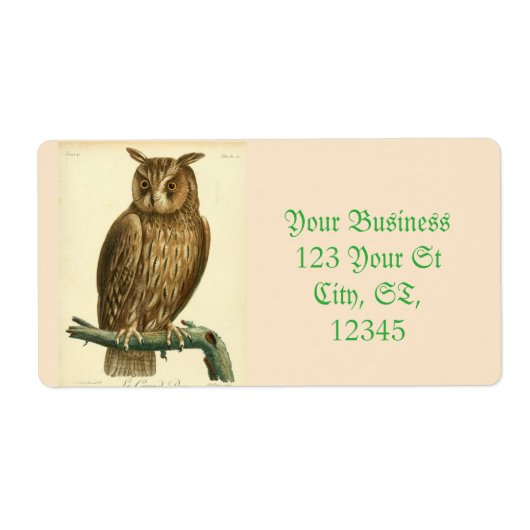 Great Horned Owl Thunder_Cove (Vorne)