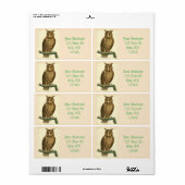 Great Horned Owl Thunder_Cove (Vorne)