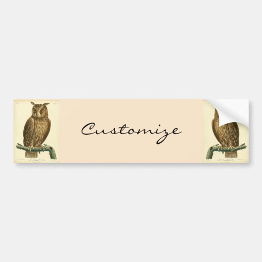 Great Horned Owl Thunder_Cove Autoaufkleber (Vorne)