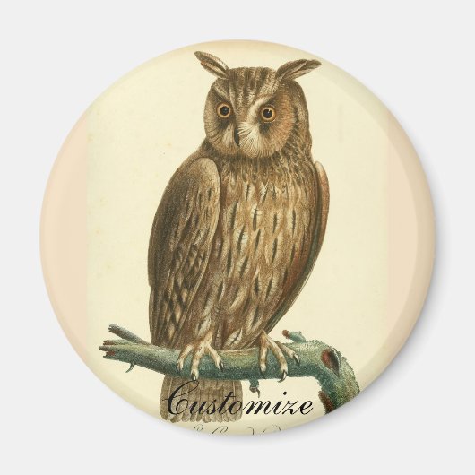 Great Horned Owl Thunder_Cove Magnet (Vorne)