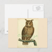 Great Horned Owl Thunder_Cove Postkarte (Vorne/Hinten)