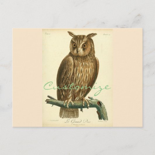 Great Horned Owl Thunder_Cove Postkarte (Vorderseite)