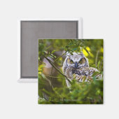 Great Horned Owlet Magnet (Vorderseite/Rückseite)
