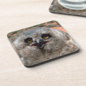 Great Horned Owlet Untersetzer (Linke Seite)