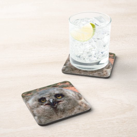 Great Horned Owlet Untersetzer (Rechte Seite)