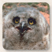 Great Horned Owlet Untersetzer (Vorderseite)