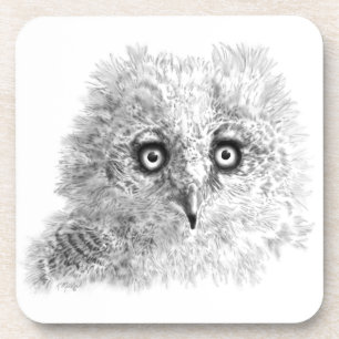 Great Horned Owlet Zeichnend Getränkeuntersetzer