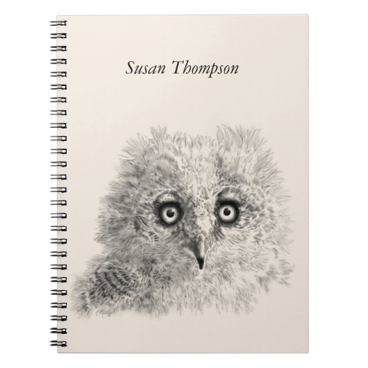 Great Horned Owlet Zeichnend Notizblock (Vorderseite)