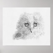 Great Horned Owlet Zeichnend Poster (Vorne)