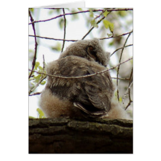 Great Horned Owlette Card