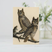 Great Horned Owls (J.J. Audubon) Karte (Stehend Vorderseite)