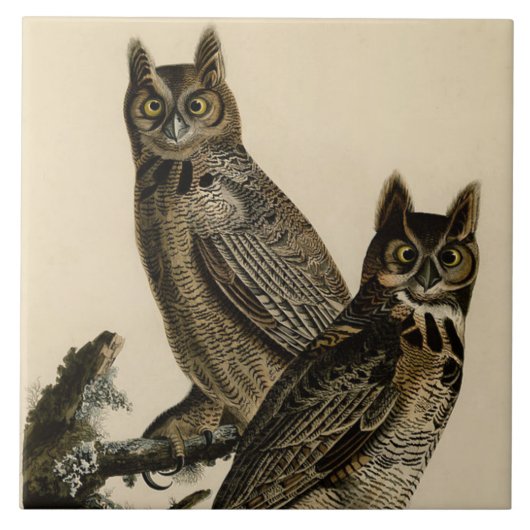 Great Horned Owls (von John James Audubon) Fliese (Vorderseite)