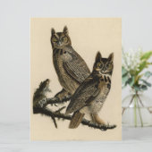 Great Horned Owls (von John James Audubon) Karte (Stehend Vorderseite)