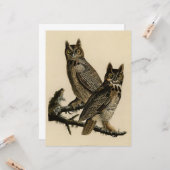 Great Horned Owls (von John James Audubon) Karte (Vorderseite/Rückseite Beispiel)