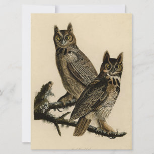 Great Horned Owls (von John James Audubon) Karte
