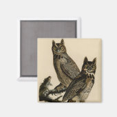 Great Horned Owls (von John James Audubon) Magnet (Vorderseite/Rückseite)