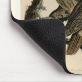 Great Horned Owls (von John James Audubon) Mousepad (Ecke)