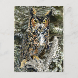 Great Horwl Owl Post Card Postkarte