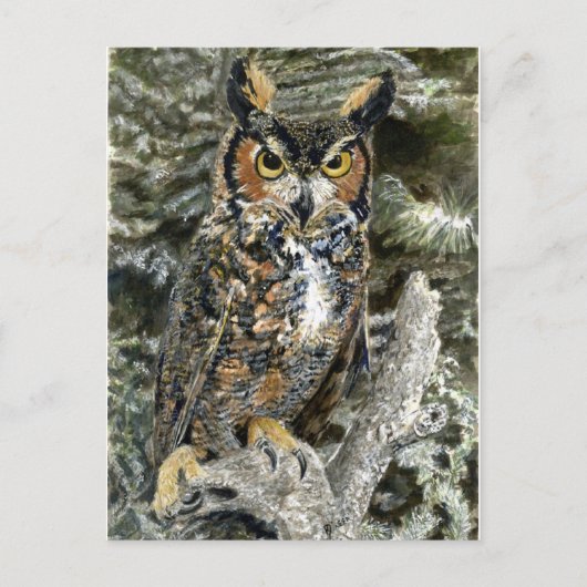 Great Horwl Owl Post Card Postkarte (Vorderseite)