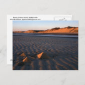 Great Island Beach Wellfleet Capo Cod Postkarte (Vorne/Hinten)