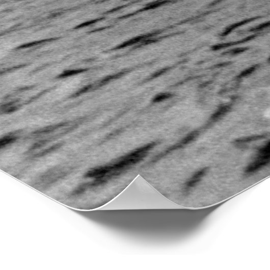 Great Lakes Passenger Dampfer Ostland Poster (Ecke)