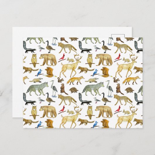 Great Lakes Wildlife Postcard Postkarte (Vorne/Hinten)