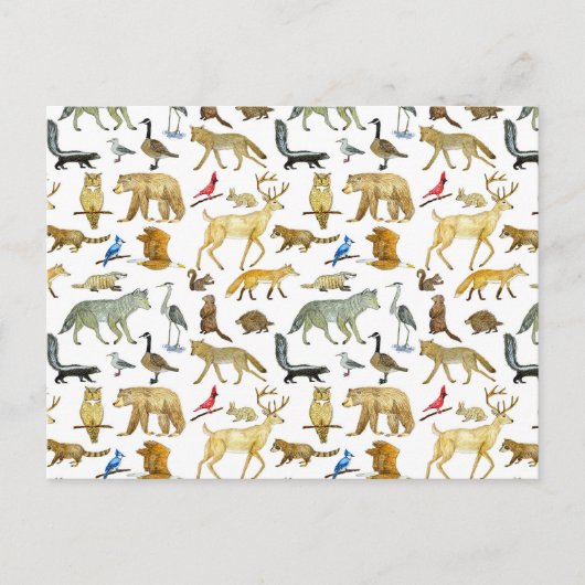 Great Lakes Wildlife Postcard Postkarte (Vorderseite)