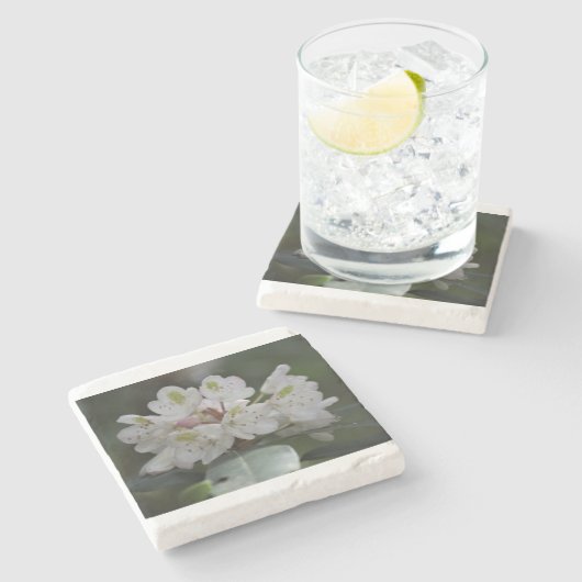 Great Laurel Steinuntersetzer (Seitenansicht)