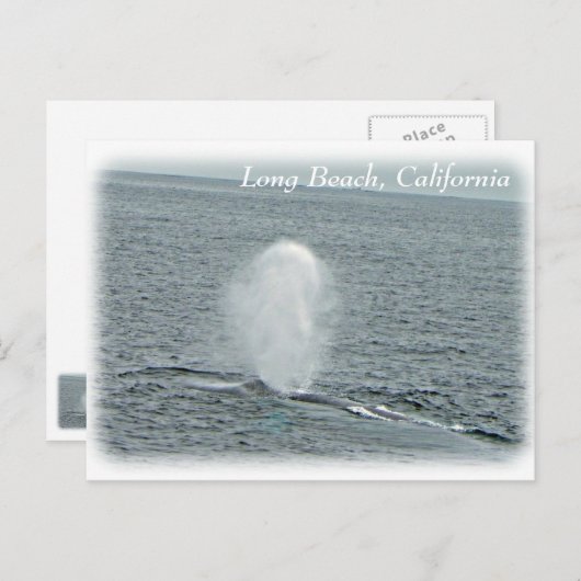 Great Long Beach Whale Postcard! Postkarte (Vorne/Hinten)